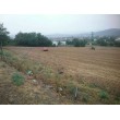 fotografia